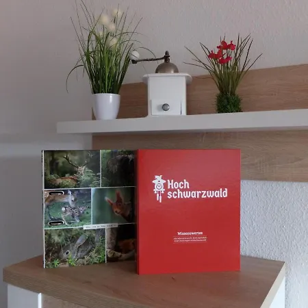 Schwarzwaldblick-19 By Interhome Διαμέρισμα *